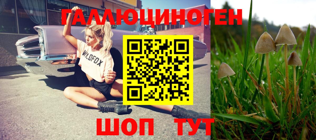 Галлюциногенные грибы ЛСД  Вход с VPN  Брянск 